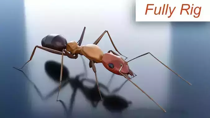 Ant 3D Rig Low-poly 3D model