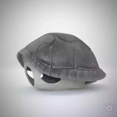 Turtle dirt gray shell Mock-up 3d Model 3D model