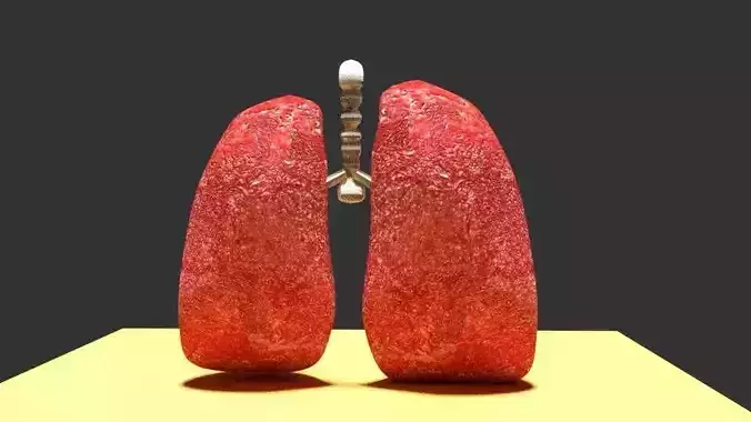 Human Lungs