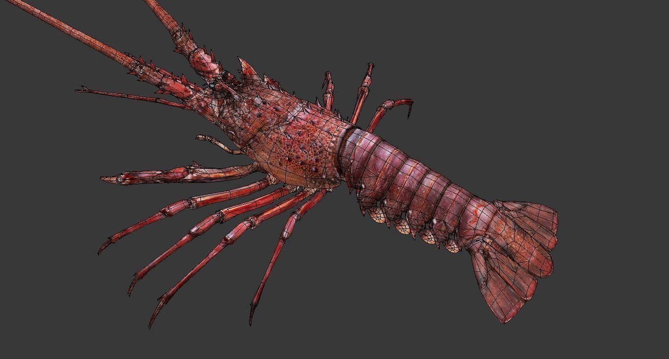 Australian lobster Low-poly 3D model_2