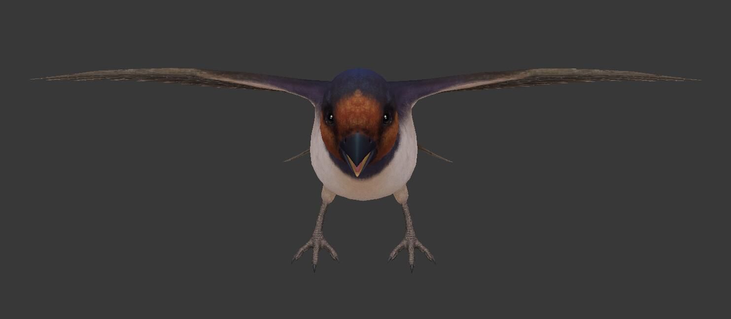 Swallow flying in sky Low-poly 3D model_3