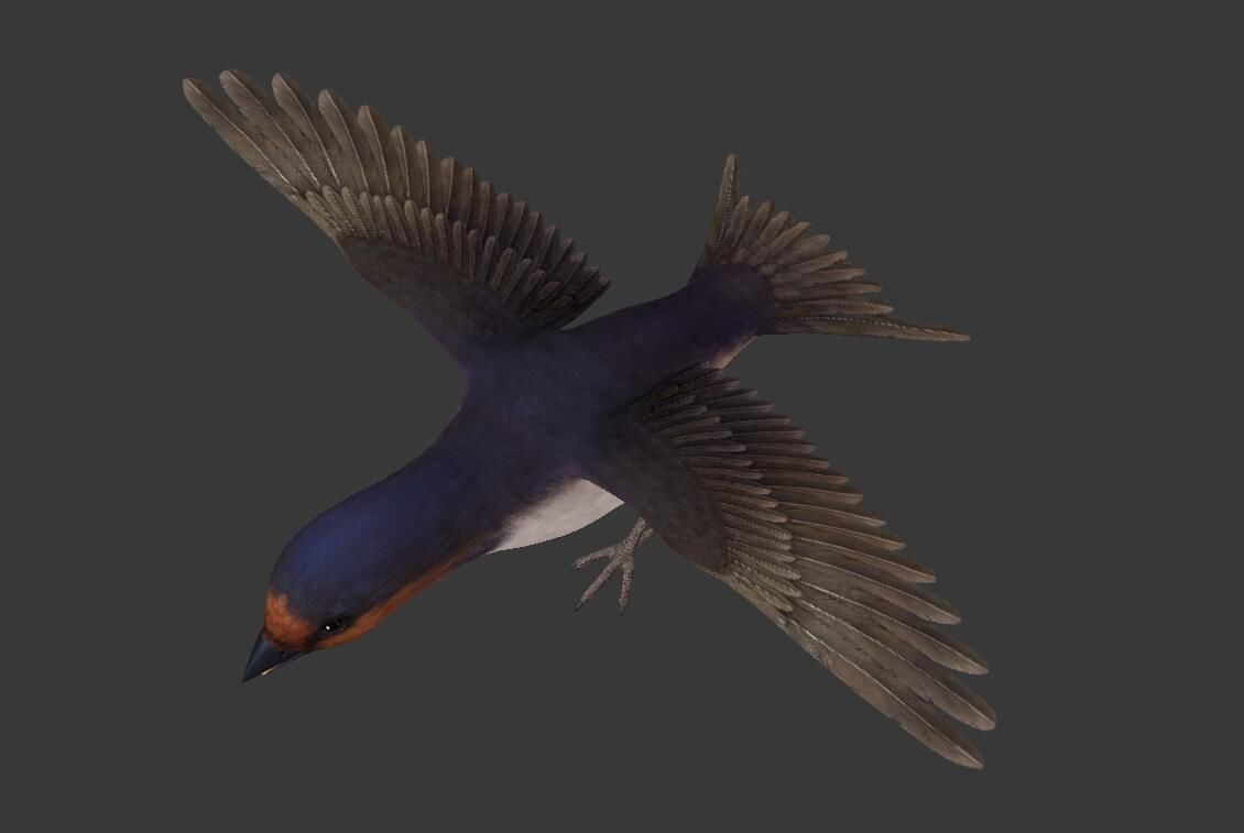 Swallow flying in sky Low-poly 3D model_1