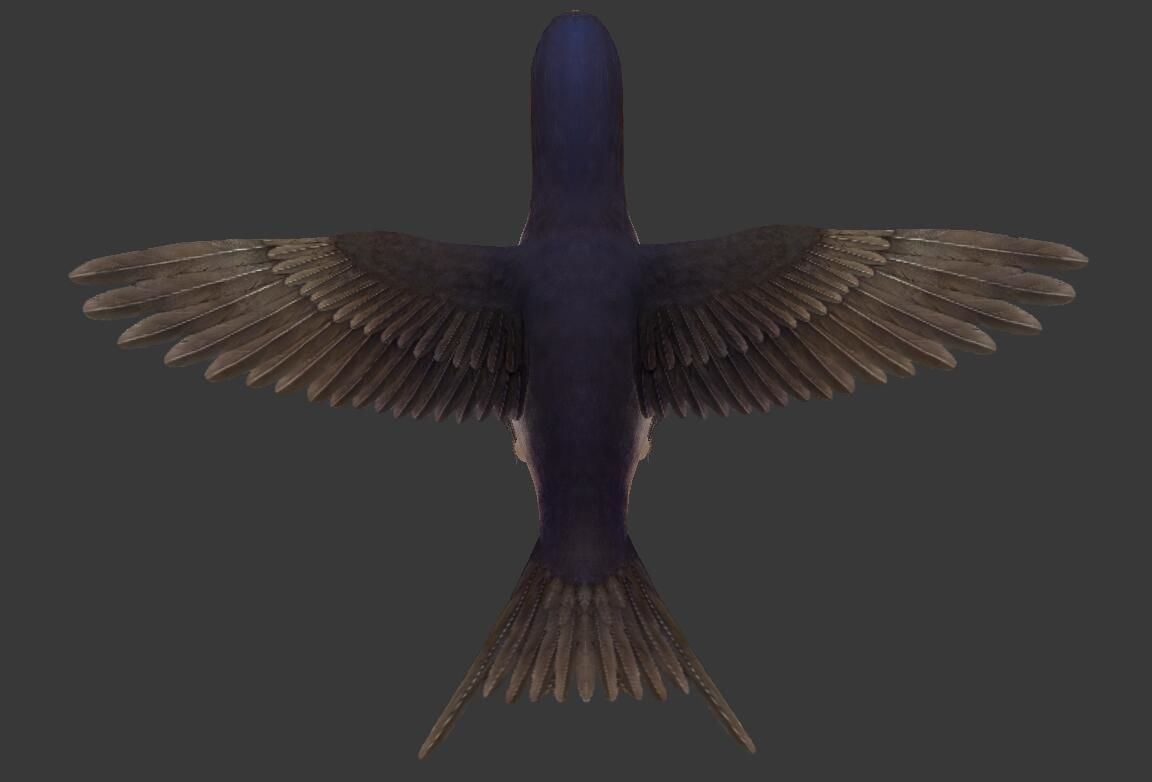 Swallow flying in sky Low-poly 3D model_2