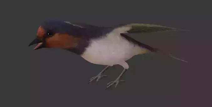 Swallow flying in sky Low-poly 3D model