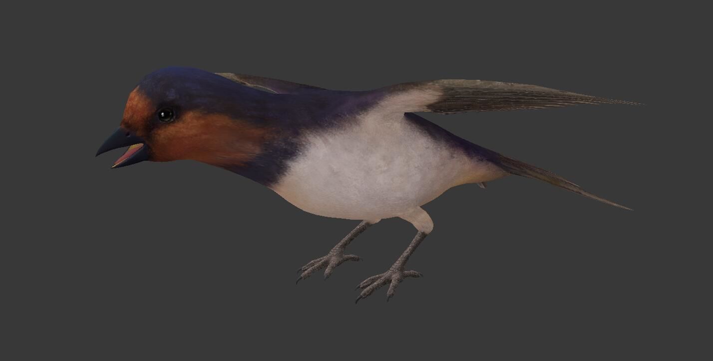 Swallow