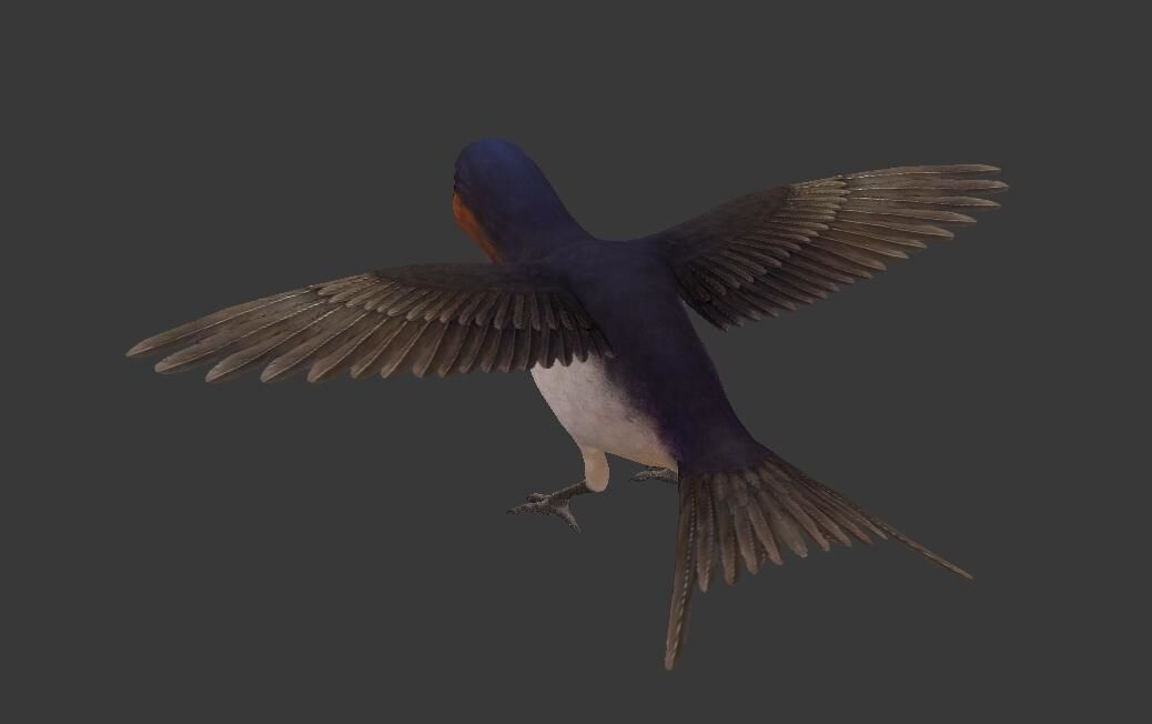 Swallow flying in sky Low-poly 3D model_4