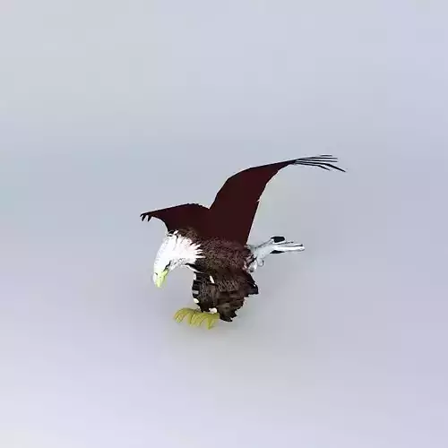 AMERICAN BALD EAGLE 3D model