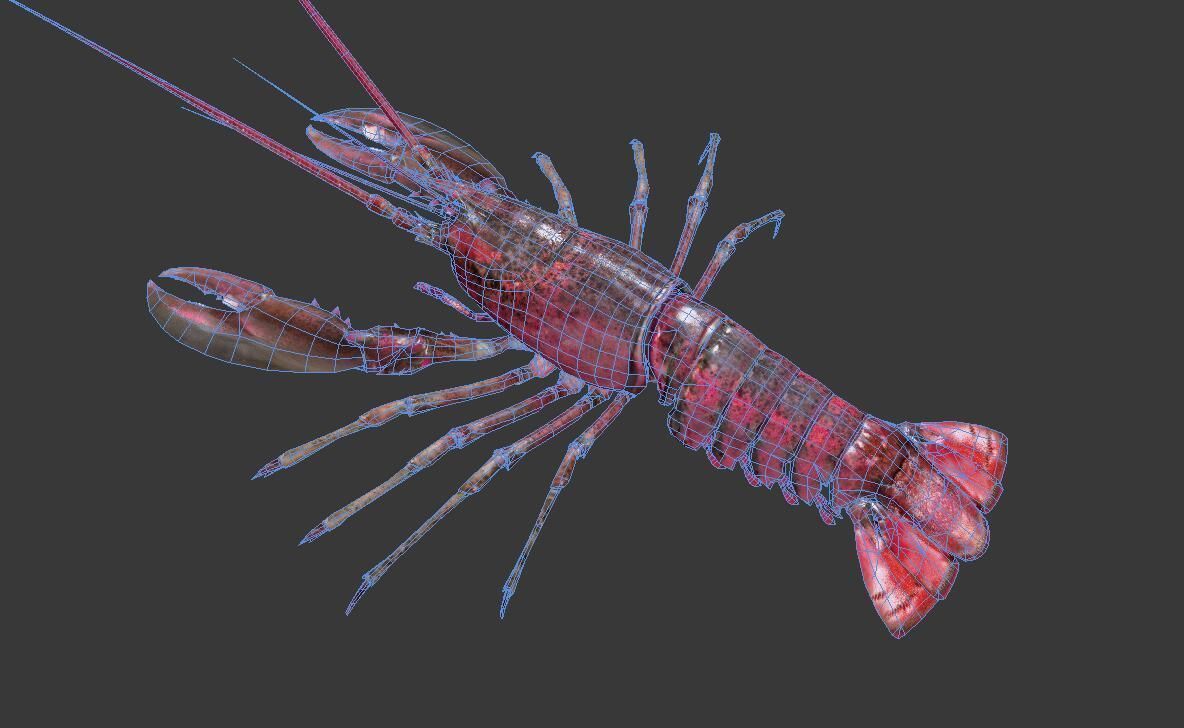 Homarus americanus lobster Low-poly 3D model_1