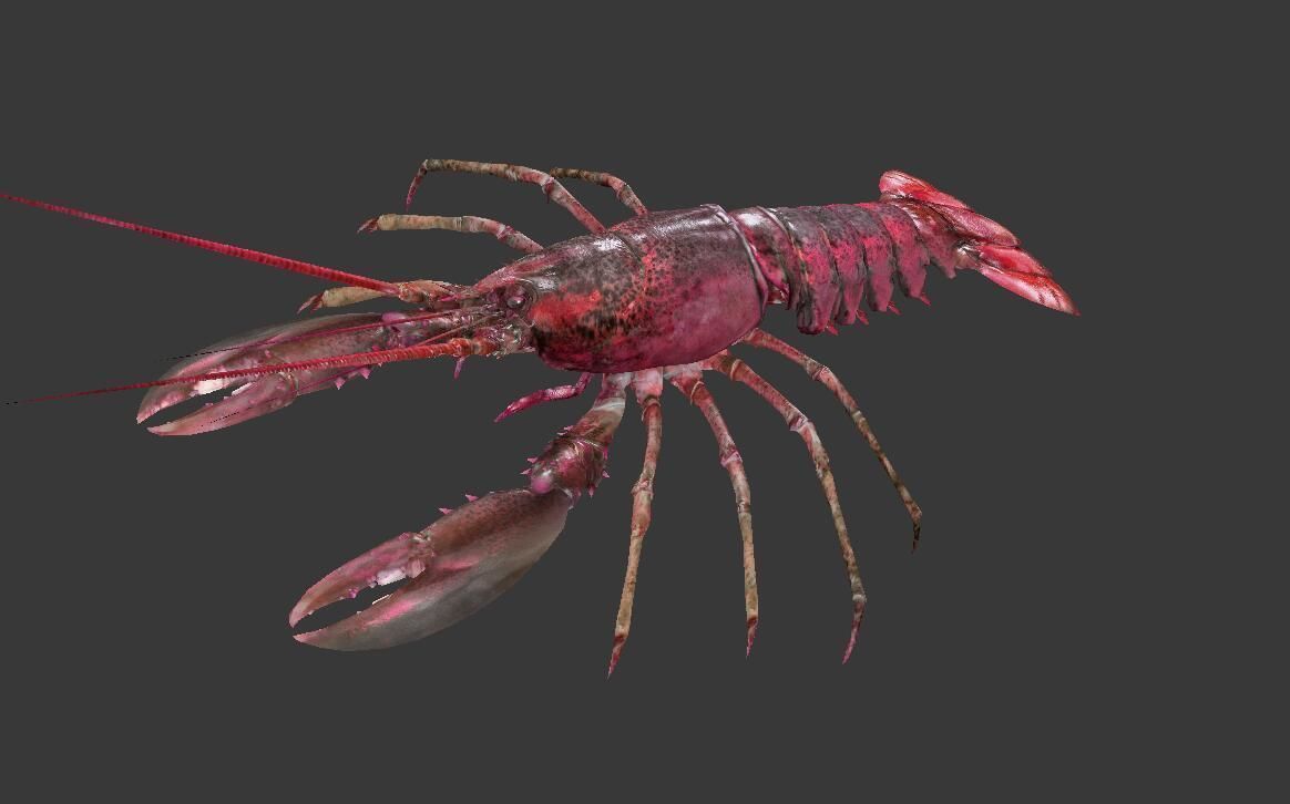 Homarus americanus lobster Low-poly 3D model_2