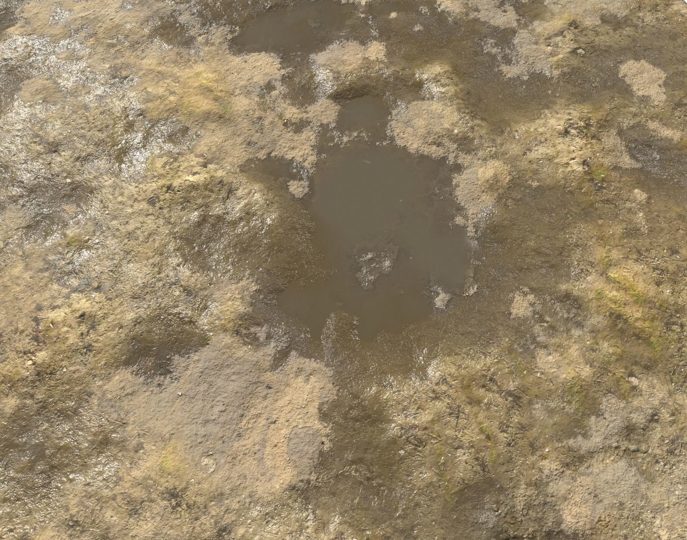 Muddy Soil 2 Seamless PBR Texture Texture | CGTrader
