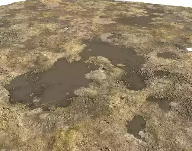 Muddy Soil 2 Seamless PBR Texture