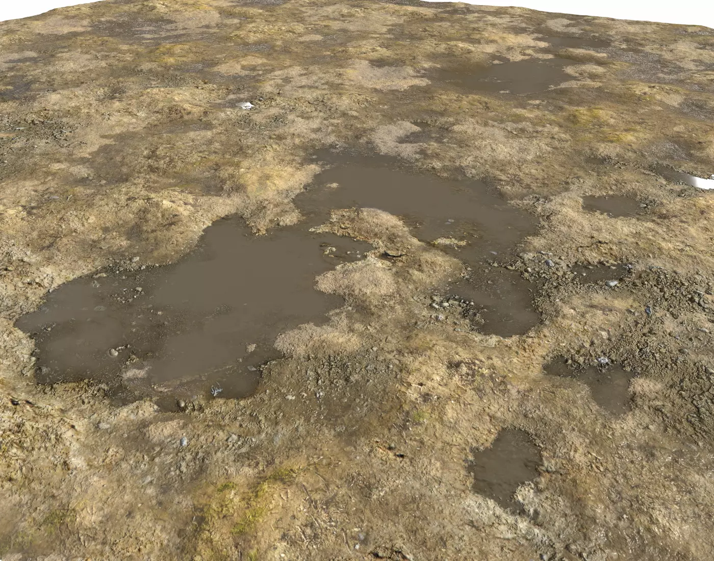 Muddy Soil 2 Seamless PBR Texture Texture