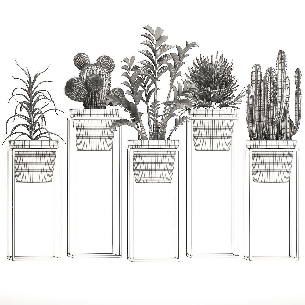 Collection of Exotic Plants 3D model_8