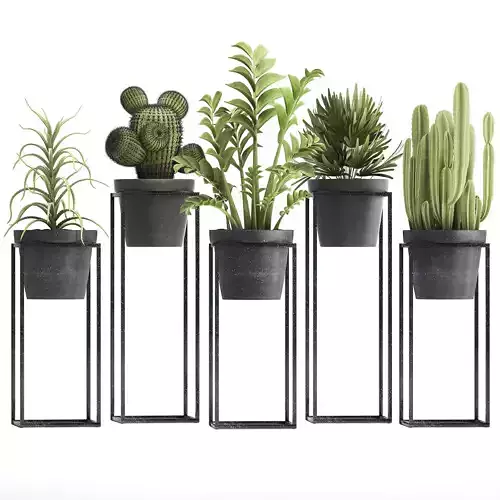 Collection of Exotic Plants 3D model
