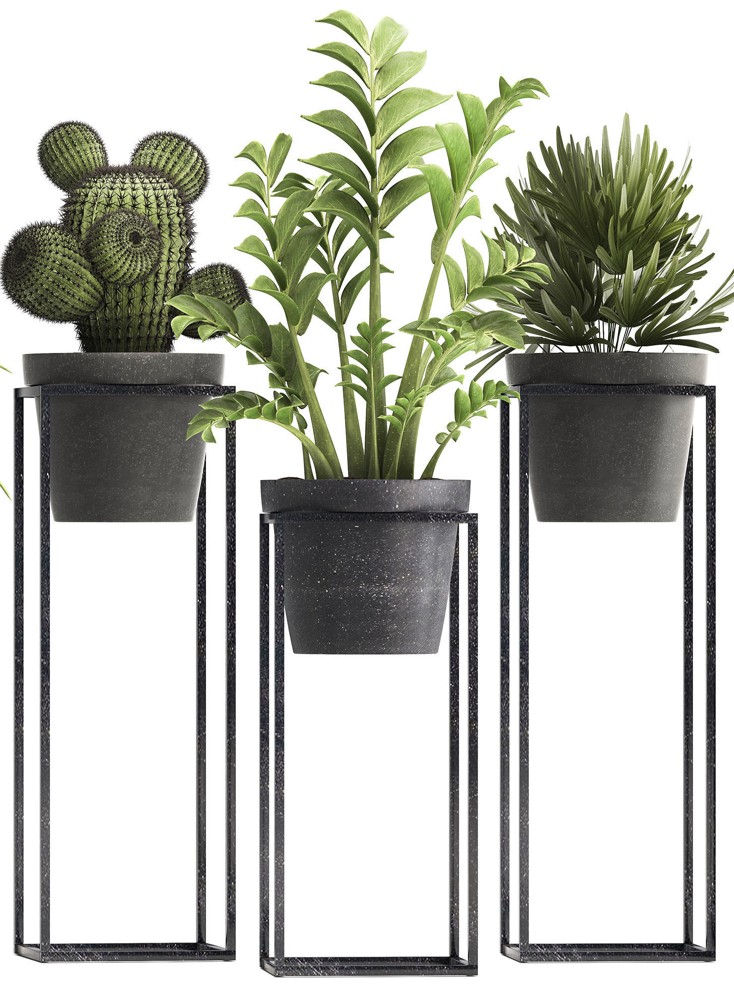 Collection of Exotic Plants 3D model_2