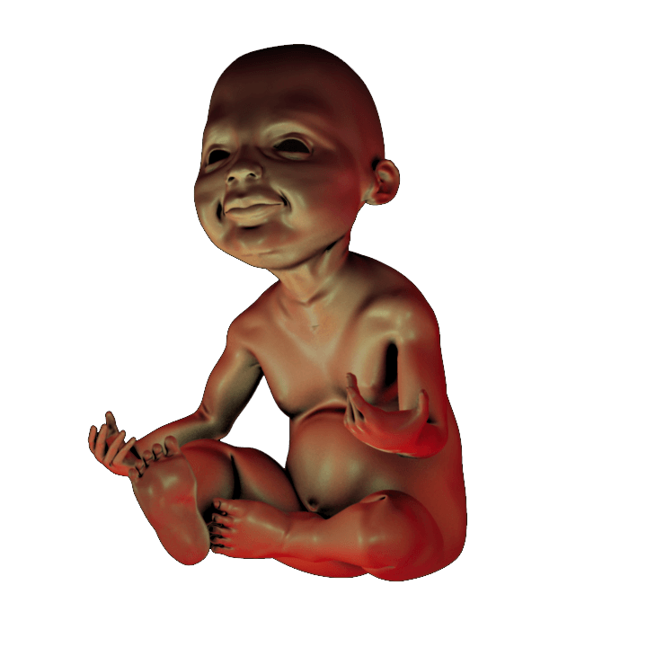 PRINT READY BABY SEATED 1 3D print model_1