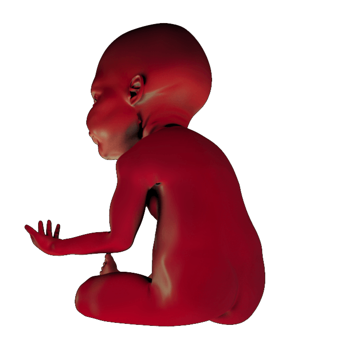 PRINT READY BABY SEATED 1 3D print model_9