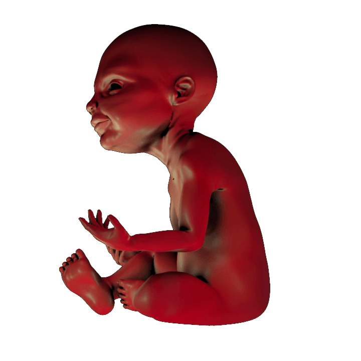 PRINT READY BABY SEATED 1 3D print model_6