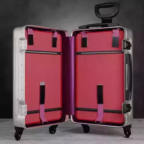 Rolling Luggage