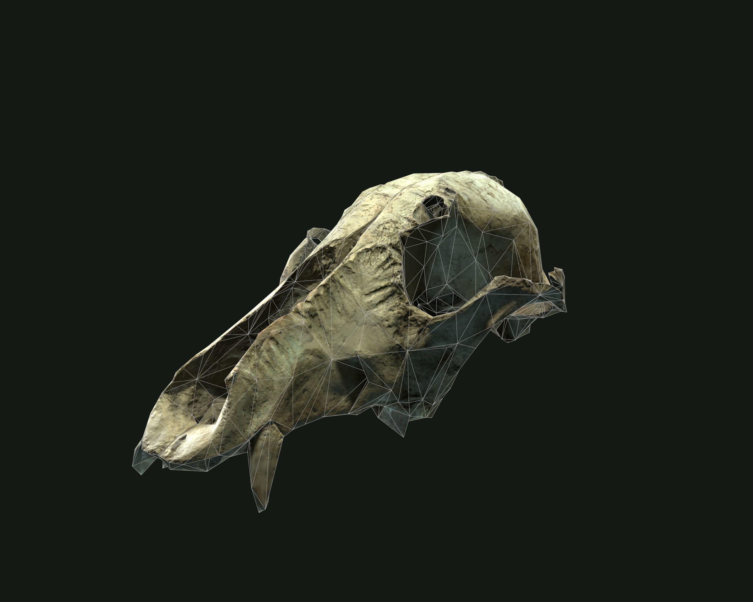 Deadly Skull  02 Low-poly 3D model_3