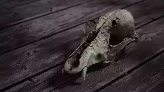 Deadly Skull  02 Low-poly 3D model