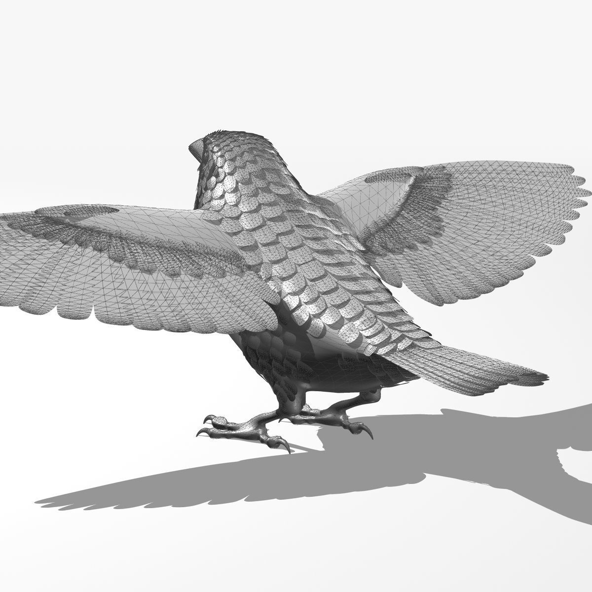 House Sparrow - rigged - animated 3D model_23