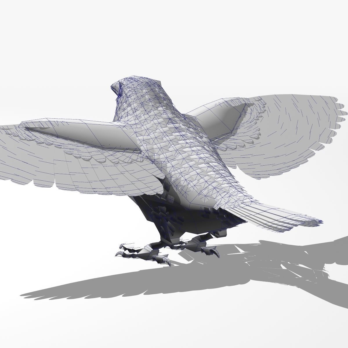 House Sparrow - rigged - animated 3D model_24