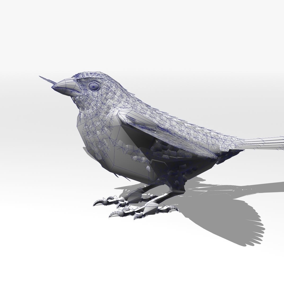 House Sparrow - rigged - animated 3D model_22