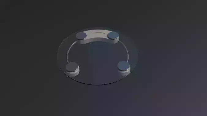 Electronic Weight Scale