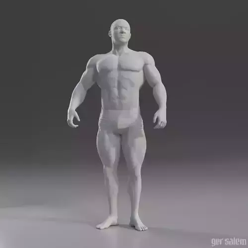 Male Anatomy Study