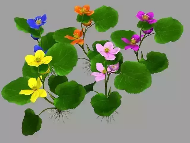 Flower Faroe Low-poly 3D model