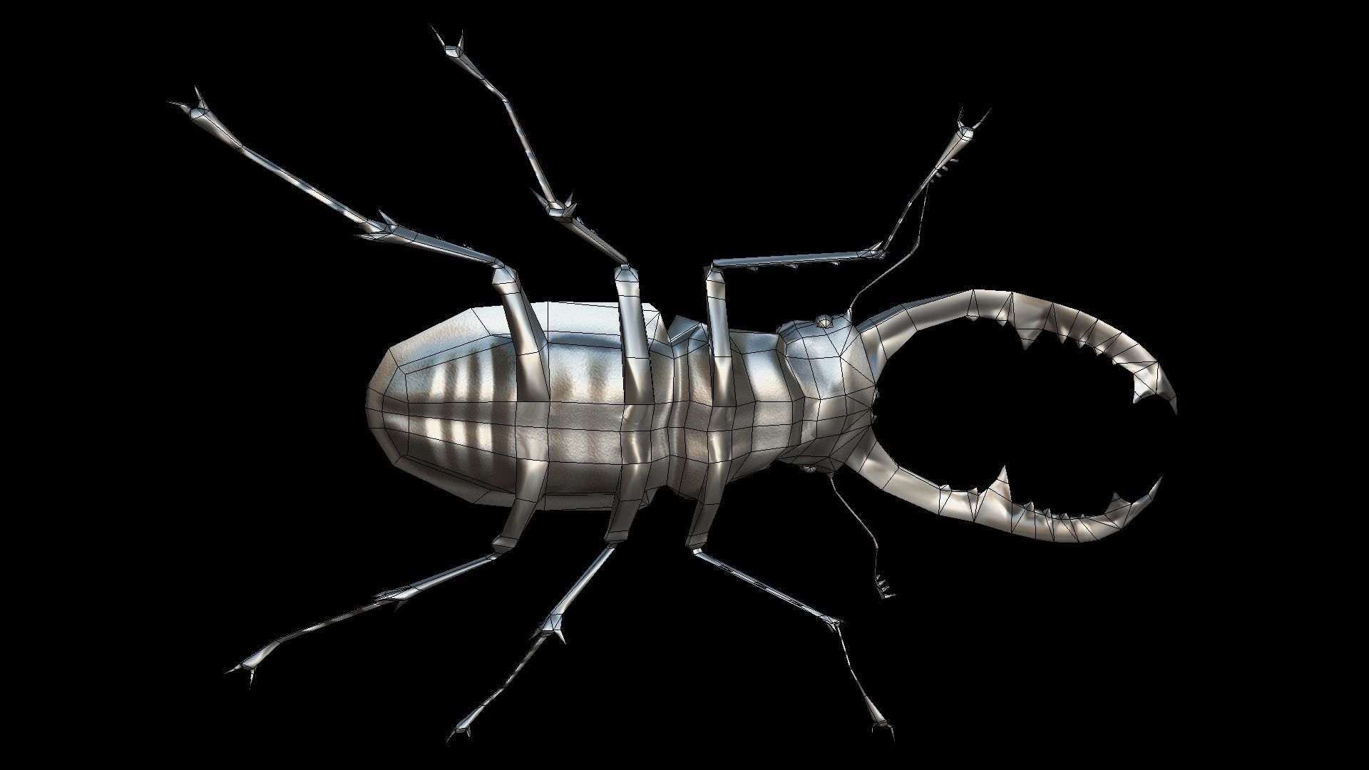 Stag Beetle Low-poly 3D model_5
