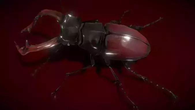 Stag Beetle Low-poly 3D model