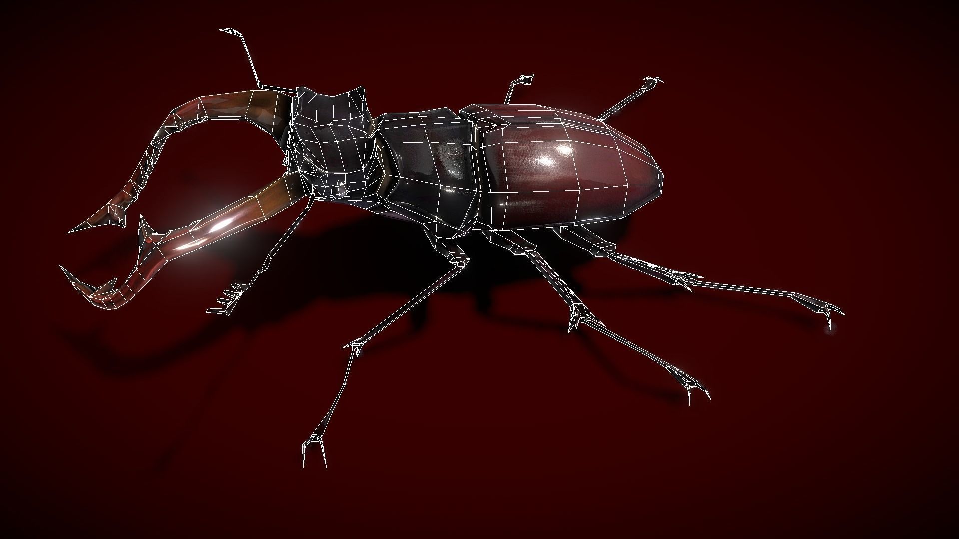 Stag Beetle Low-poly 3D model_1