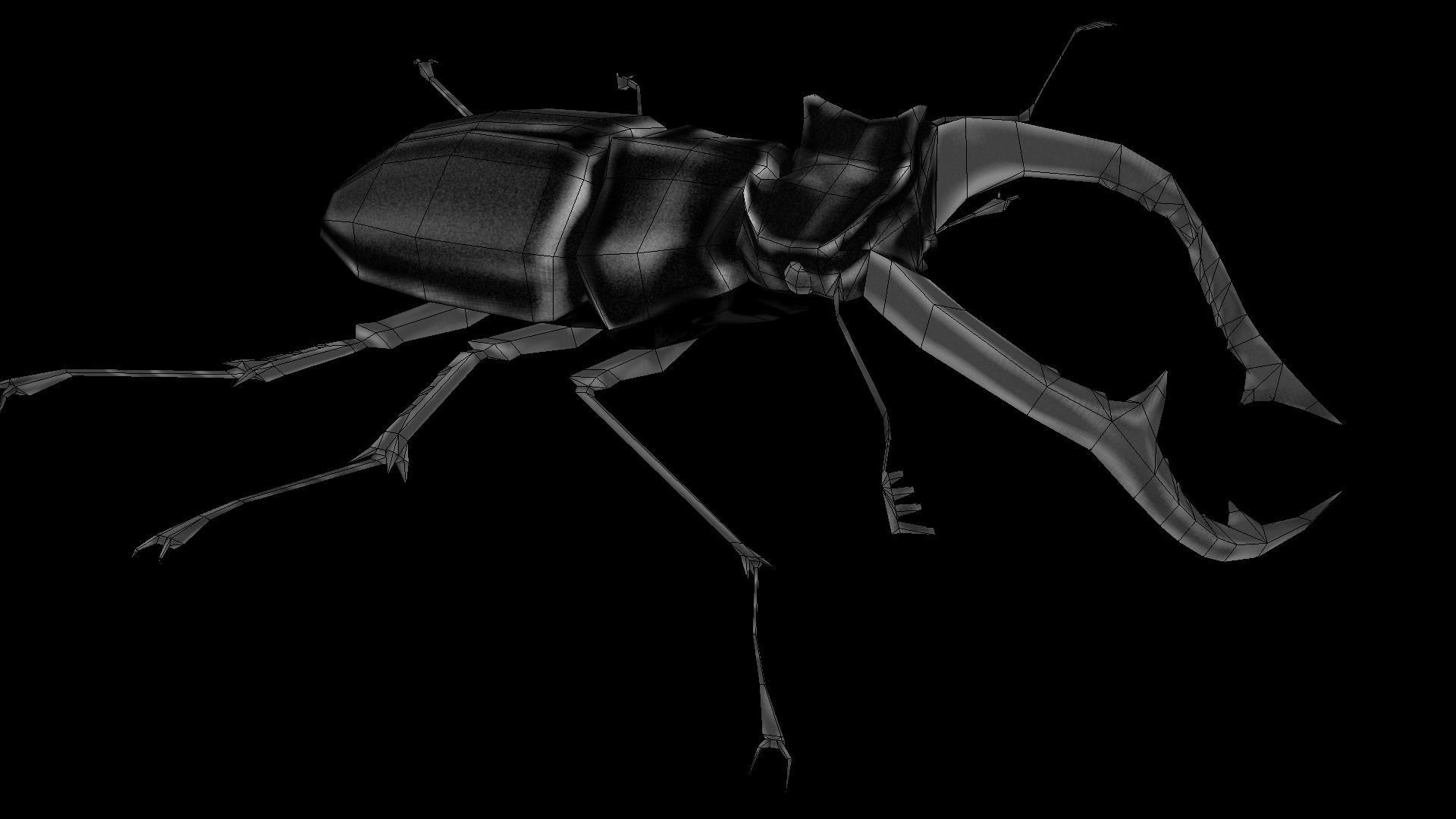 Stag Beetle Low-poly 3D model_3