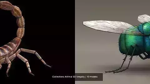 Collections Animal 3D lowpoly 