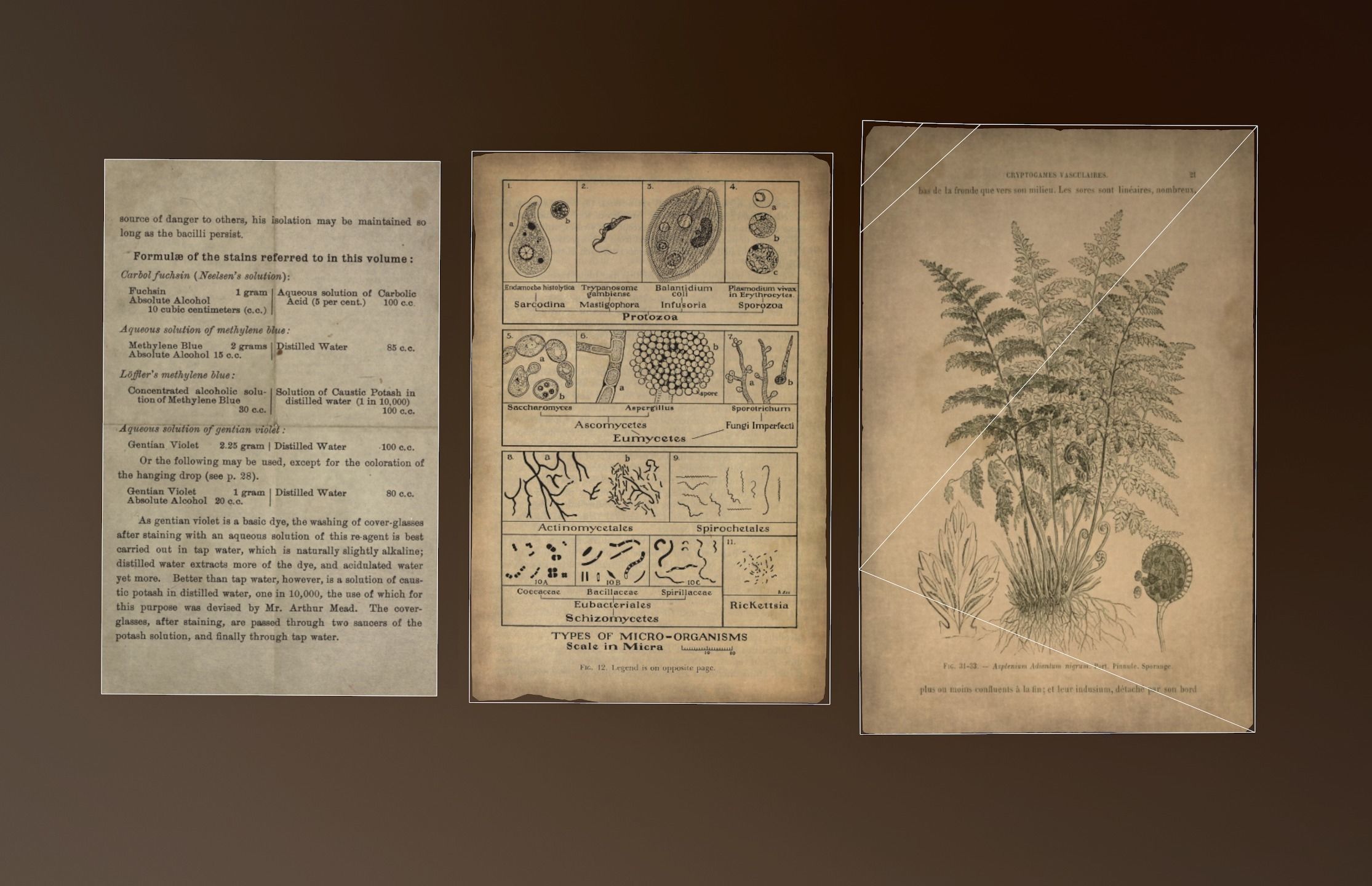 Old Books set - PBR Game Ready Low-poly 3D model_12