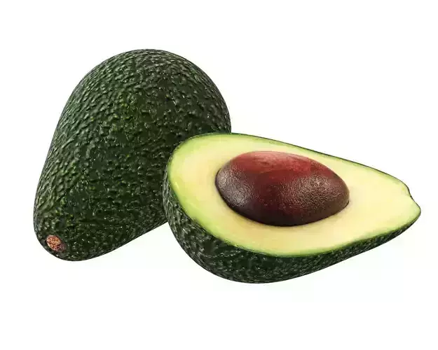 Avocado two avocados Free 3D model