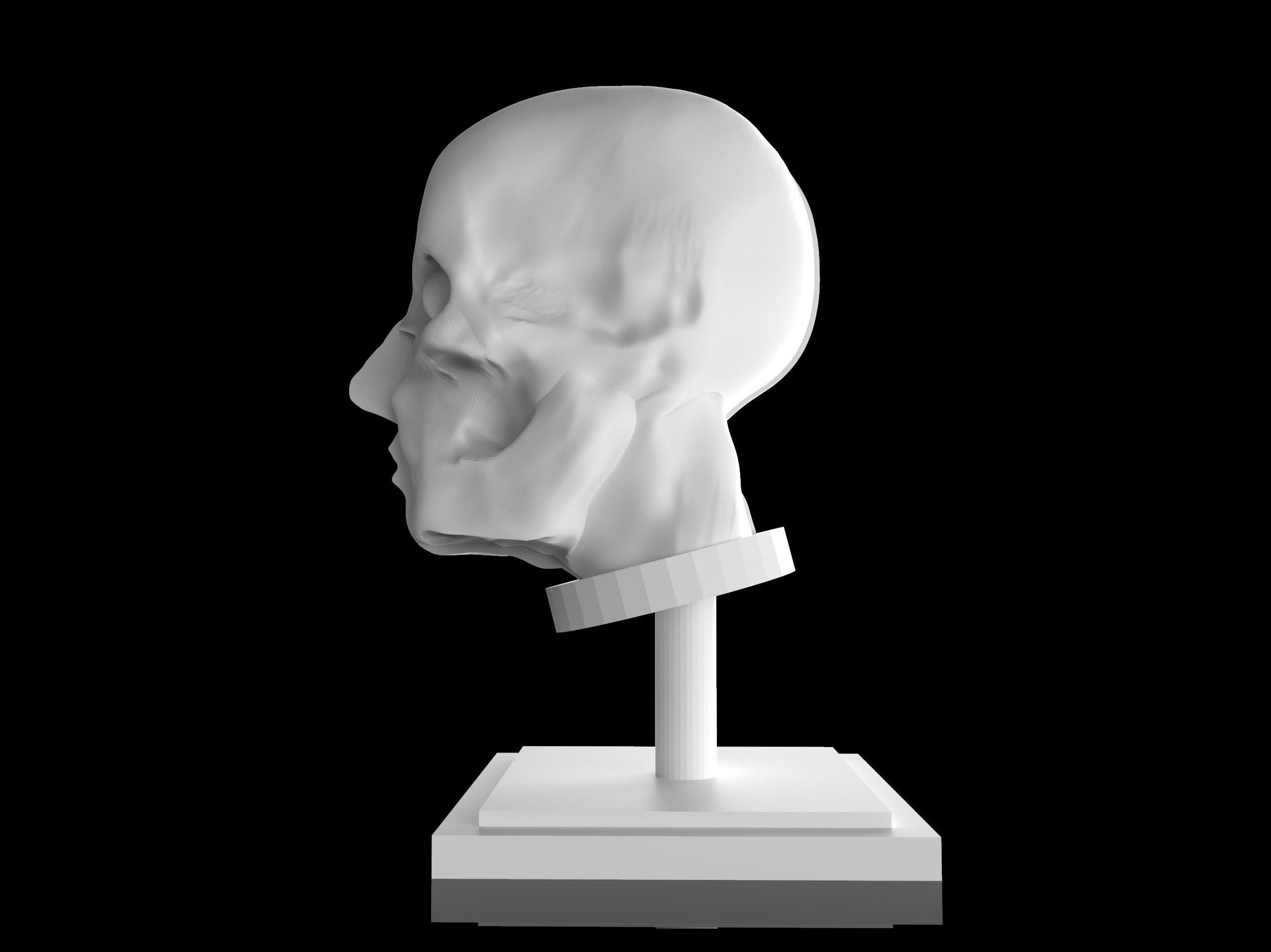 Man Head Anatomy - 3D Print Model 3D print model_4