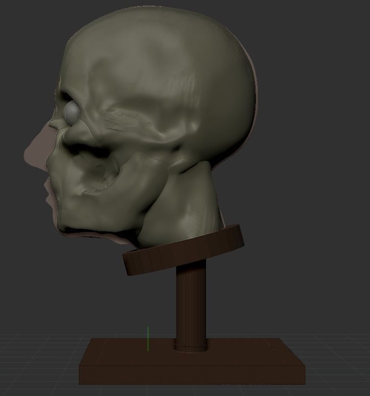 Man Head Anatomy - 3D Print Model 3D print model_7