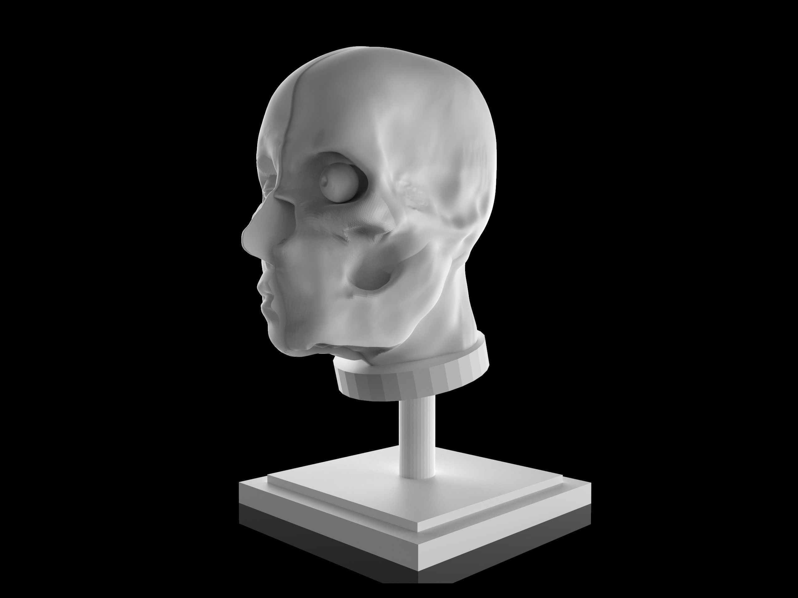 Man Head Anatomy - 3D Print Model 3D print model_3