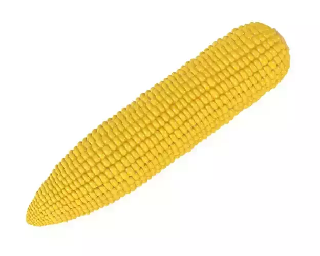 Corn on the cob 3D model