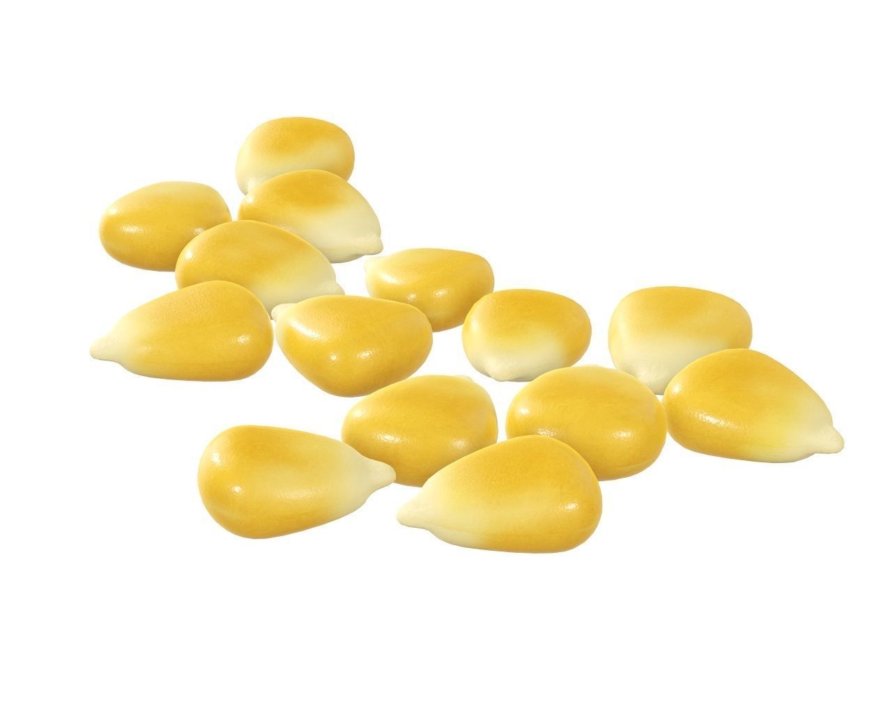 Corn kernel 3D model CGTrader