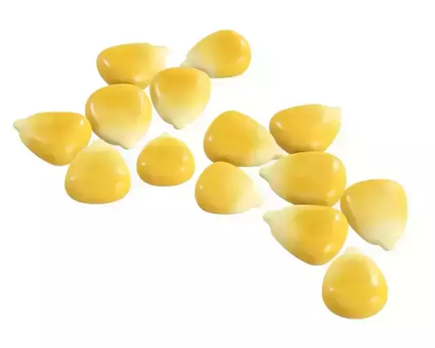 Corn kernel 3D model
