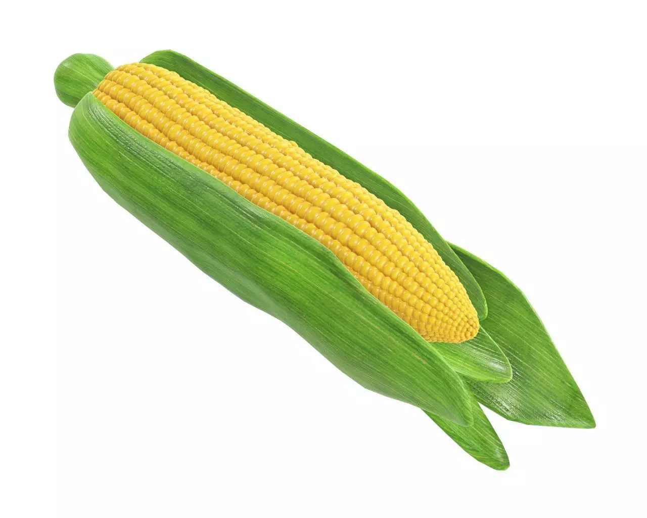 Corn with leaves 3D model_0