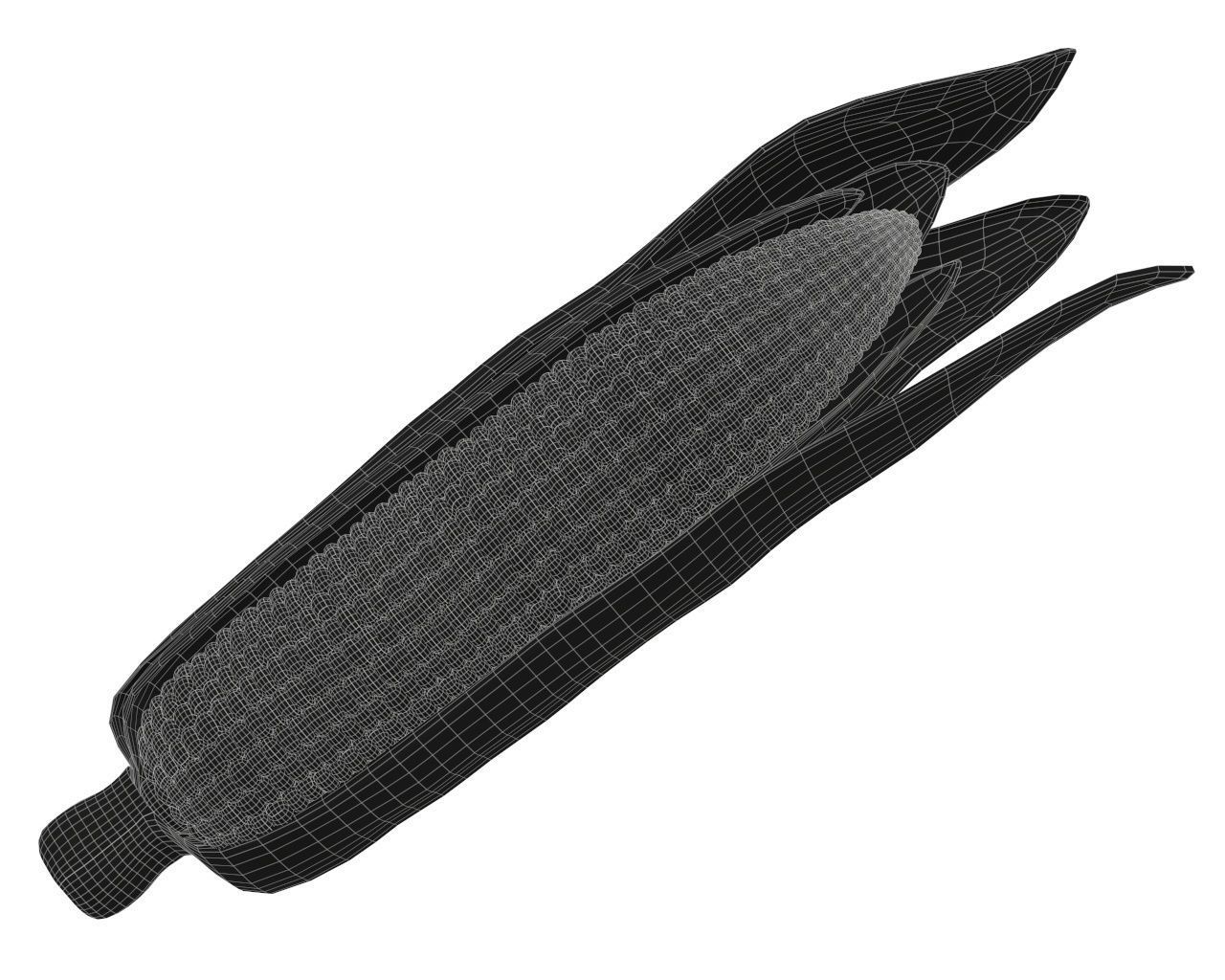 Corn with leaves 3D model_5