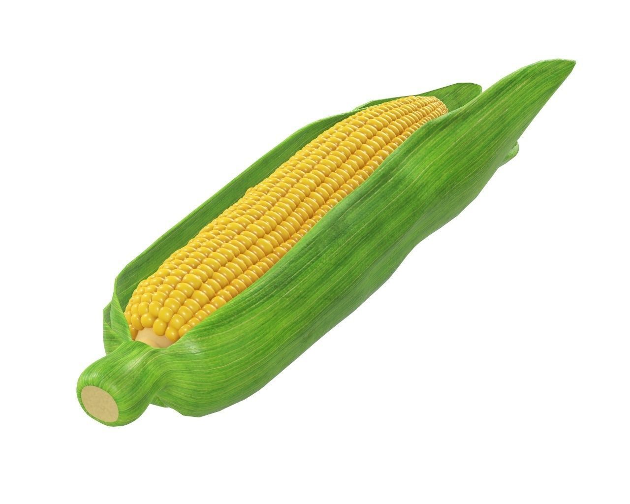 Corn with leaves 3D model_2