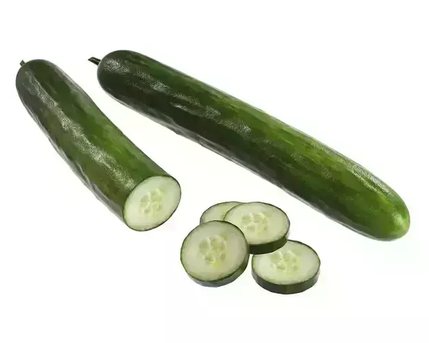 Cucumber 3D model