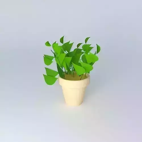 house plant