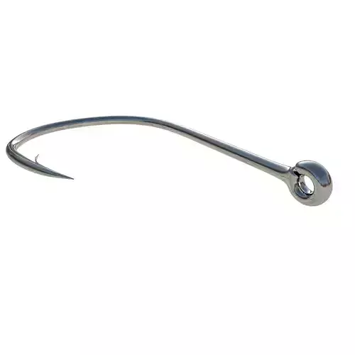 Fish hook